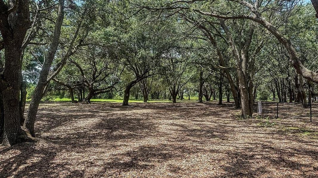 Natural landscape and outdoor views near Waterstone in Groveland (Image 25).