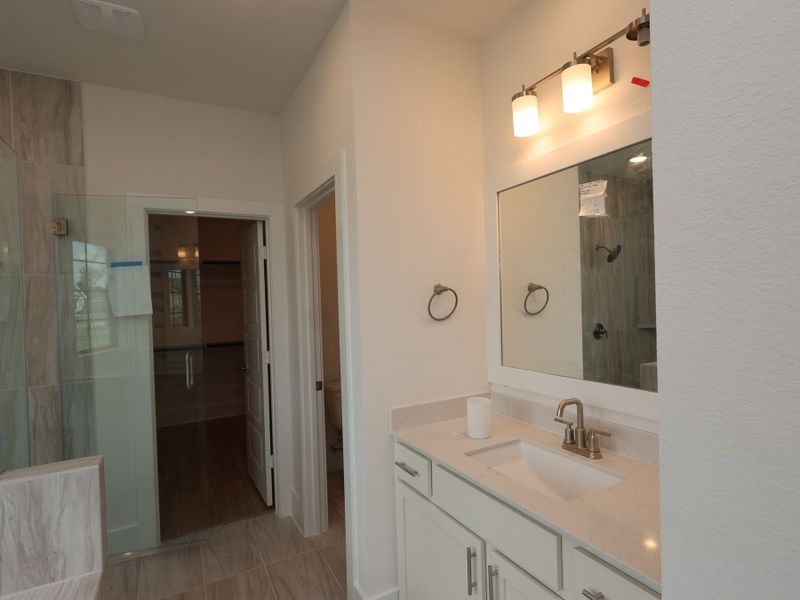 Owner's Bathroom