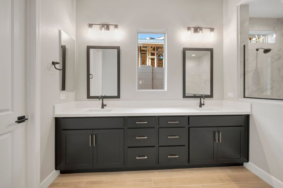 Owner's Bath