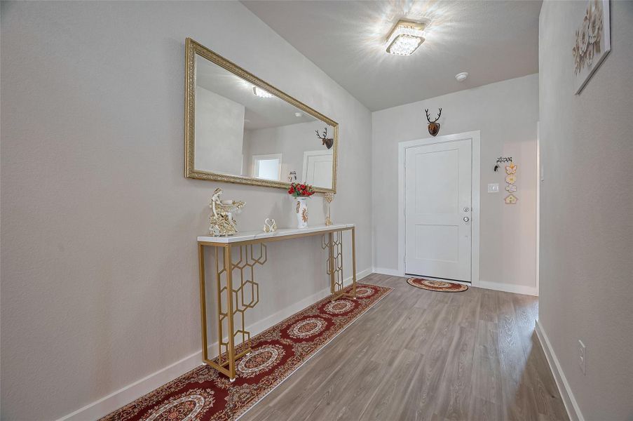 Bright entry hallway with wood-style flooring.