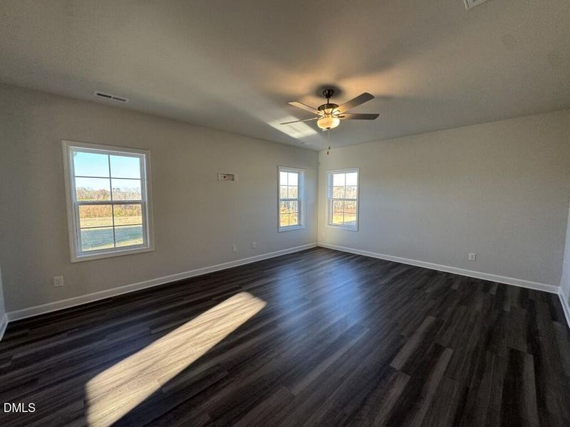 Photo Nov 16 2025, 3 46 41 PM (Medium)