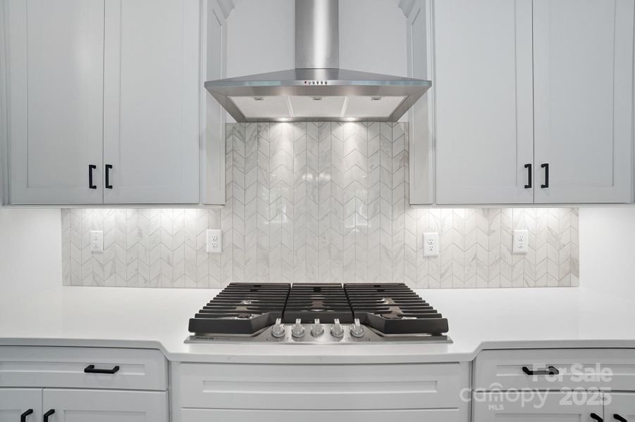 Close-up of interior finishes inside a home in Heritage - 55+ Community, Indian Trail (Image 11).