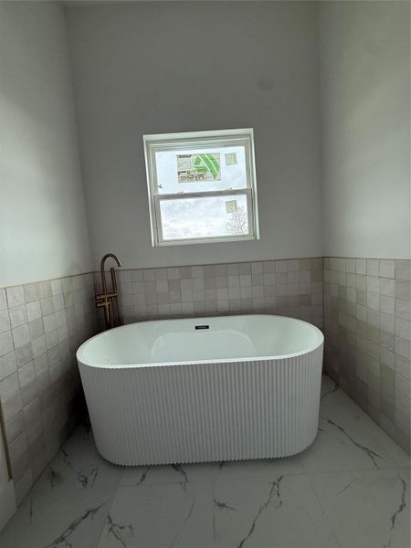 Master bathroom tub