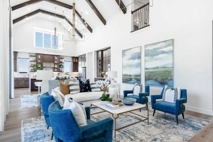 Representative Family Room - some options shown