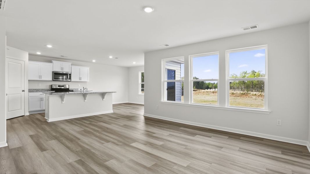 Spacious, unfurnished interior of a new home in Gibson Grove, Laurens (Image 20).
