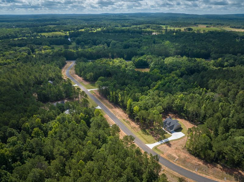Image 40 of a home in Flint Farms.