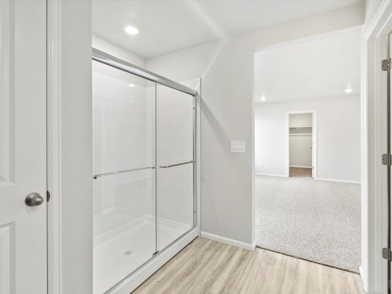 Welcome to the Juniper floorplan. Welcome to the Juniper floorplan.