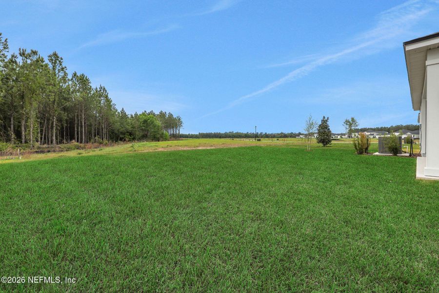 Exterior details and patio area of a home in Amberly, Green Cove Springs (Image 24).