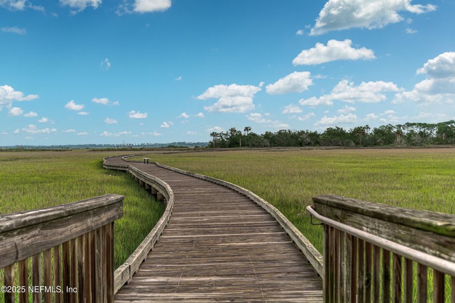Natural landscape and outdoor views near  in St. Augustine (Image 92).