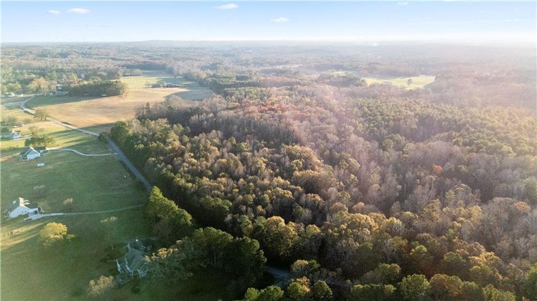 Natural landscape and outdoor views near  in Carrollton (Image 38).