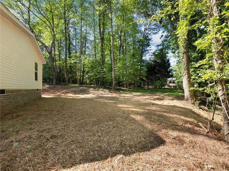 Natural landscape and outdoor views near  in Gainesville (Image 47).