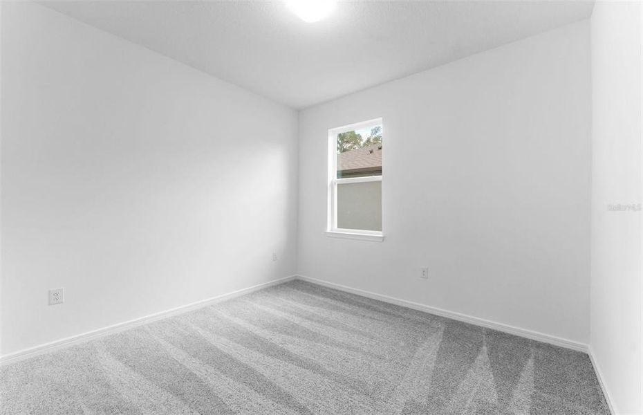 Model Representation