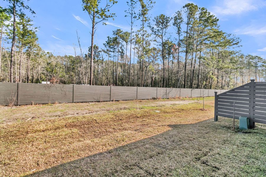 Exterior details and patio area of a home in Hammock Walk at Nexton, Summerville (Image 3).