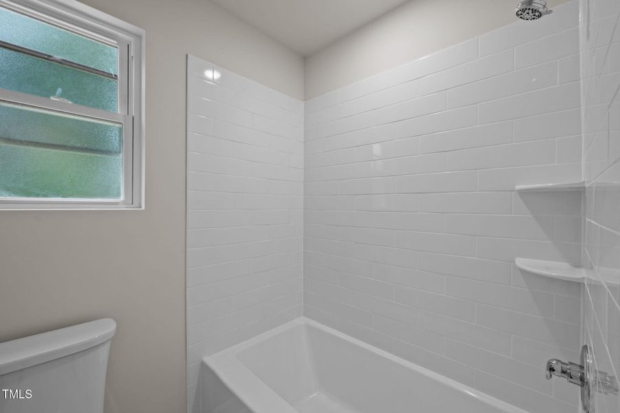 18-web-or-mls-P1078572