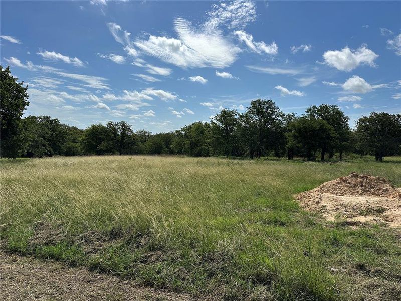 Natural landscape and outdoor views near in Springtown (Image 24). Natural landscape and outdoor views near in Springtown (Image 24).