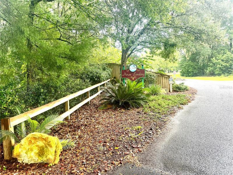 Natural landscape and outdoor views near  in High Springs (Image 19).