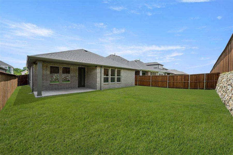 2219 Shady Elm- Back-1 2219 Shady Elm- Back-1