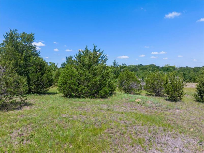 Natural landscape and outdoor views near in Gholson (Image 37). Natural landscape and outdoor views near in Gholson (Image 37).