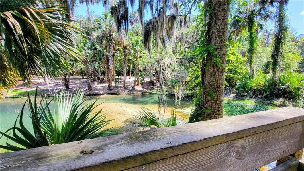 Natural landscape and outdoor views near in Debary (Image 36). Natural landscape and outdoor views near in Debary (Image 36).