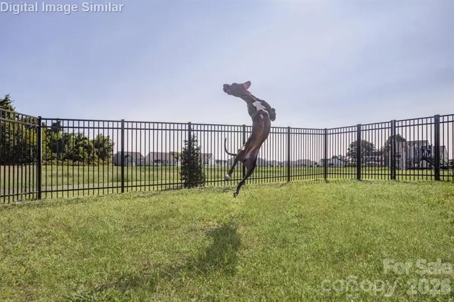 Amenity: Large Dog Park.