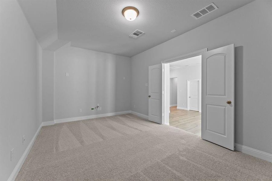 DAL_Painted Tree_Haskell II_4005 Gervais Drive (29)