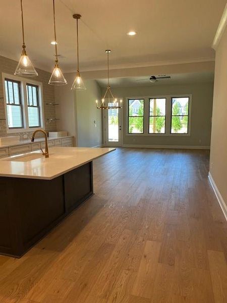 Image 7 of a home in Lakeside at River Green. Image 7 of a home in Lakeside at River Green.