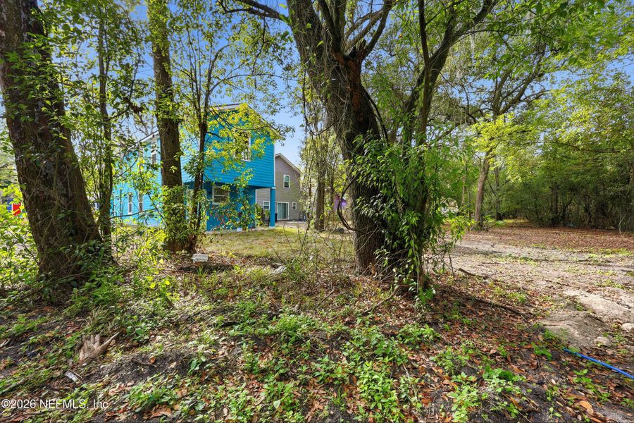 Natural landscape and outdoor views near  in Jacksonville (Image 32).