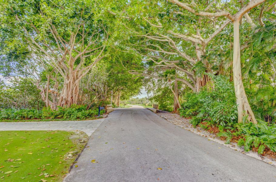 5-web-or-mls-5D1A3893JS