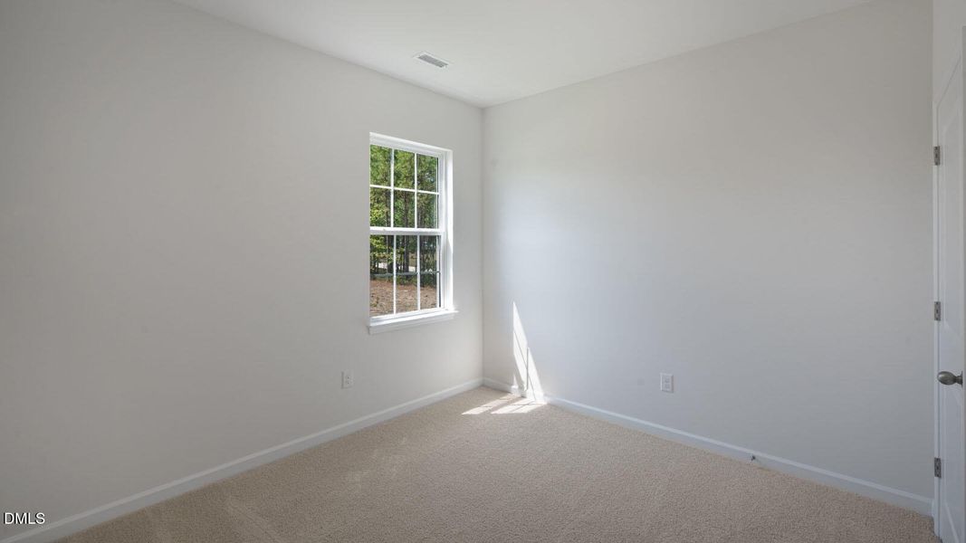 75-tobacco-woods-001