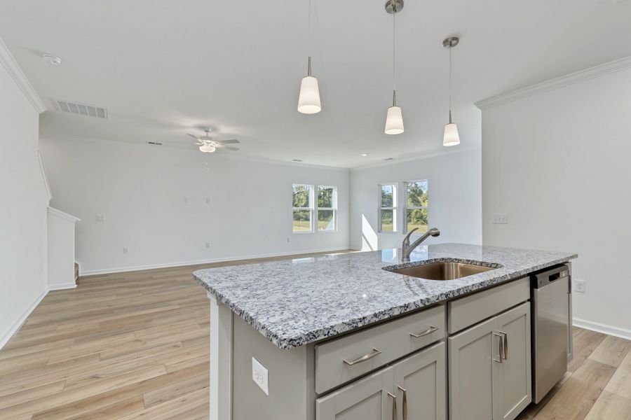 Furnished interior view inside a new home in Jordan Grove, Conway (Image 15).