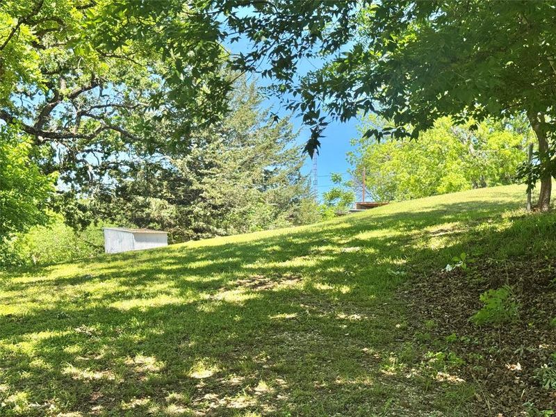 Natural landscape and outdoor views near  in Gainesville (Image 4).