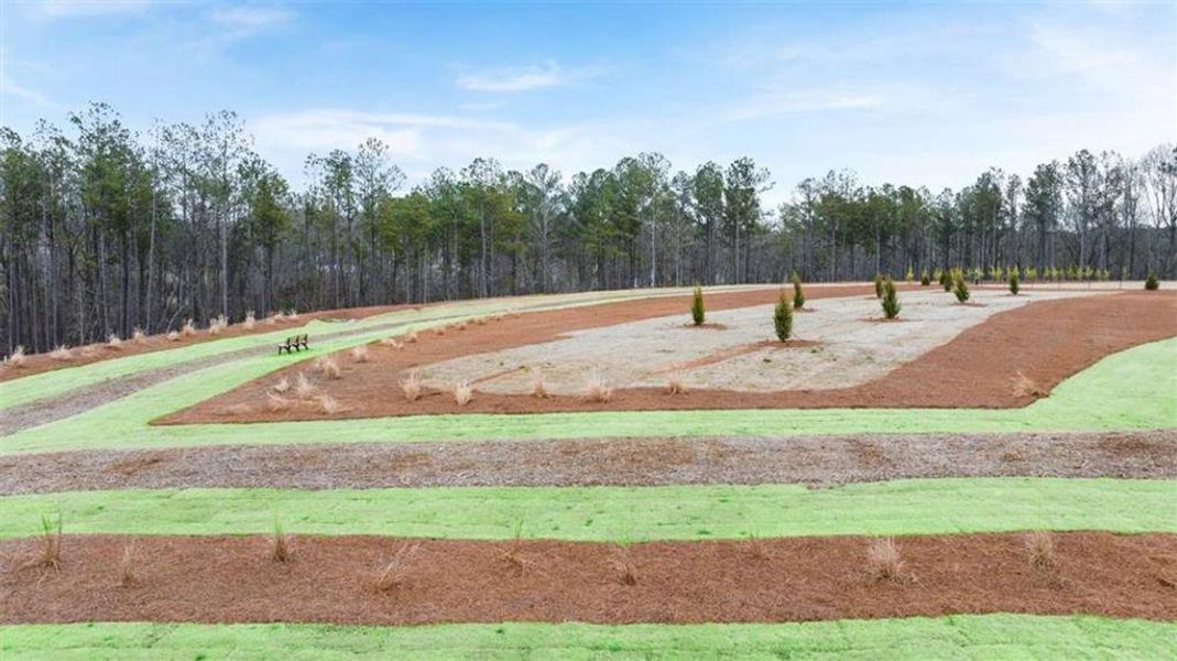 Site preparation for new homesites in Echo Glen, Stockbridge (Image 6).