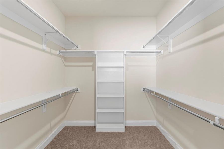 Spacious closet featuring light colored carpet