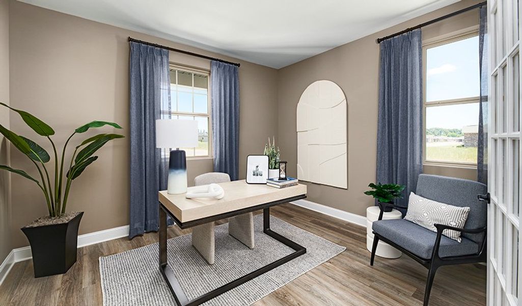 Elderberry-A966-GrandHollow Study