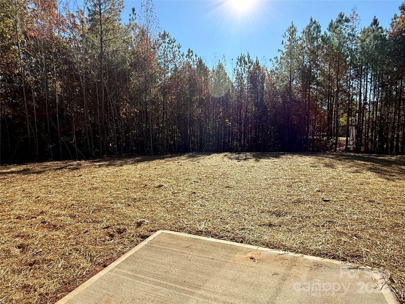 Natural landscape and outdoor views near in Gastonia (Image 12). Natural landscape and outdoor views near in Gastonia (Image 12).