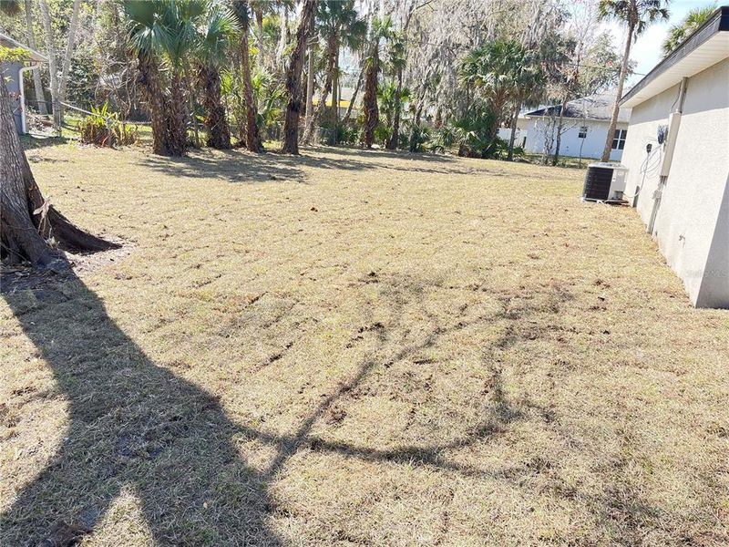 Natural landscape and outdoor views near  in Edgewater (Image 22).