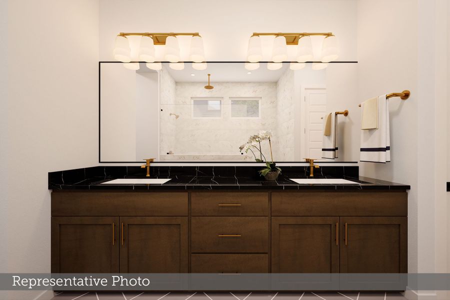 Owner's Bath