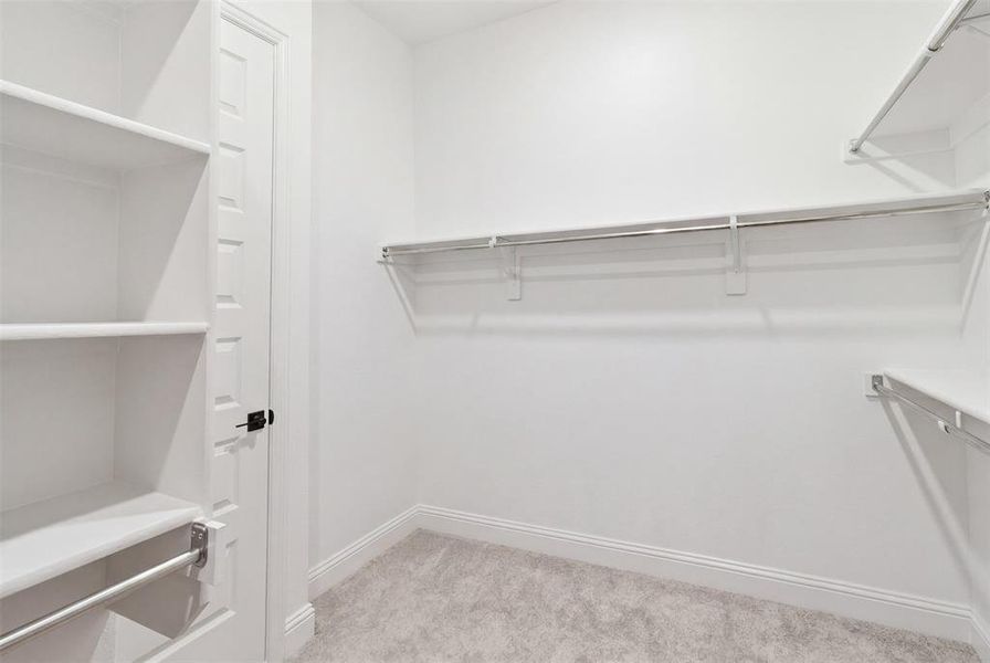 Walk-in closet featuring light-toned carpeting, white shelving, and chrome hanging rods