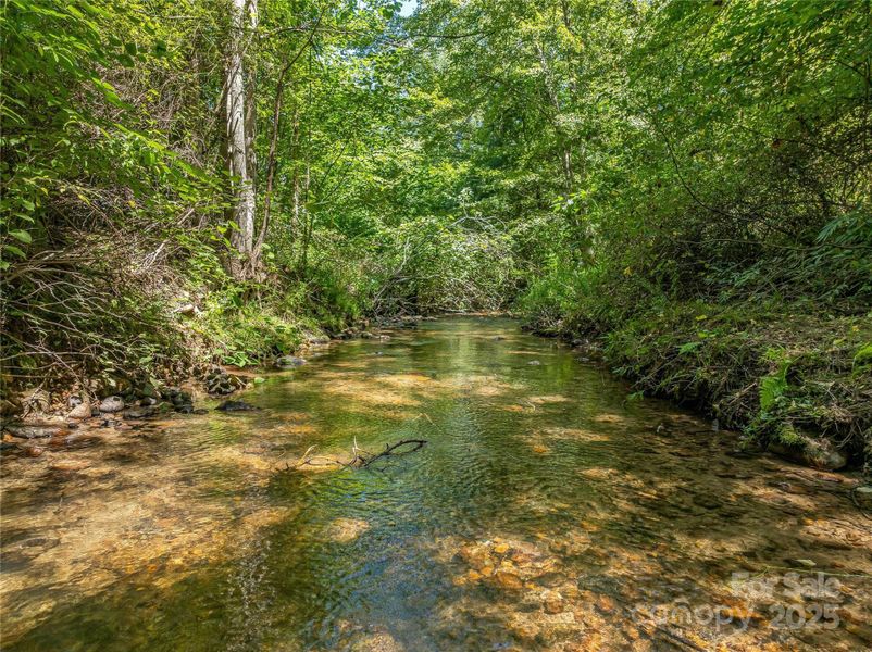 Natural landscape and outdoor views near  in Arden (Image 28).