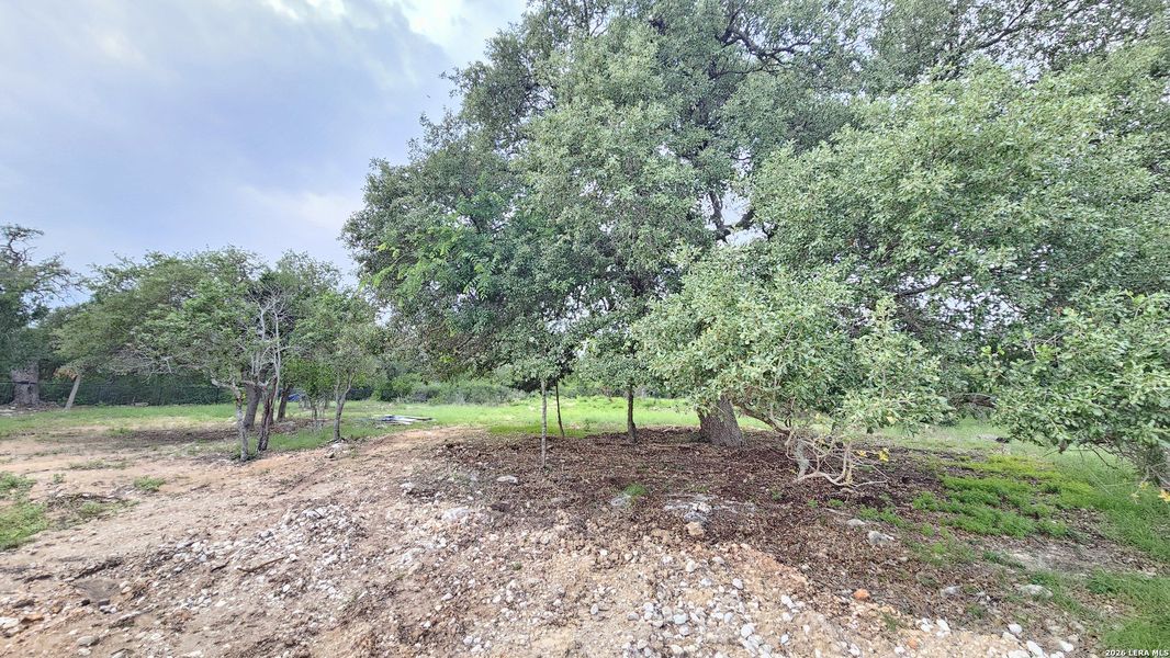 Natural landscape and outdoor views near  in New Braunfels (Image 65).
