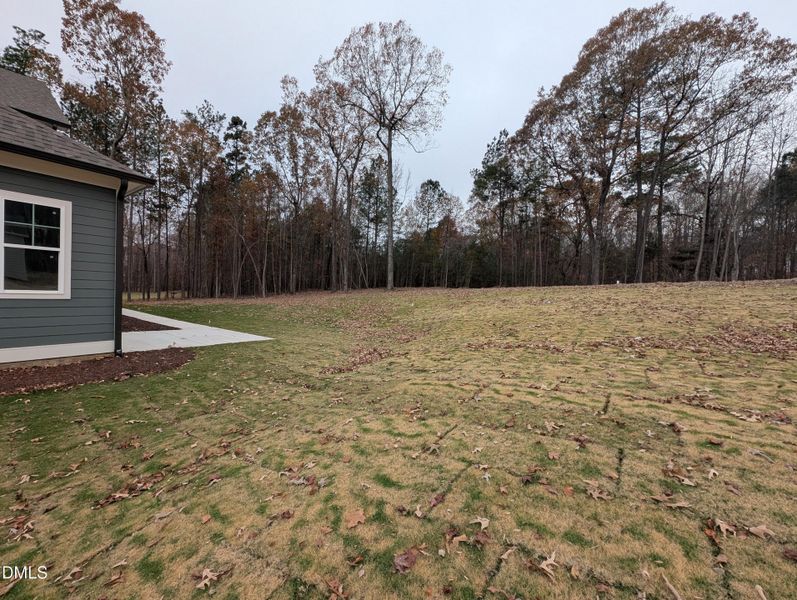 PXL_20251120_153550217.MP