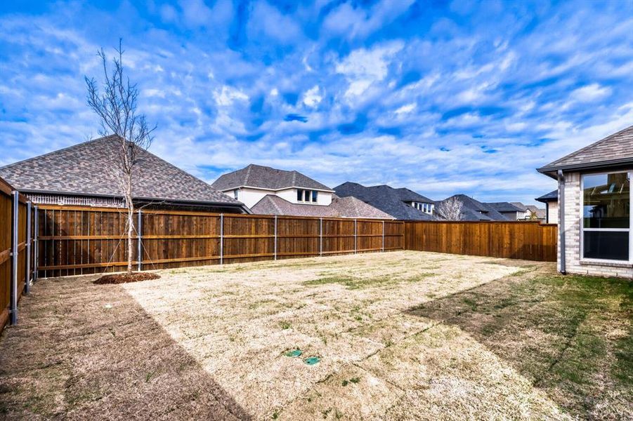 Expansive backyard featuring a full wood privacy fence, a newly planted tree, and a stone facade on the rear of the home
