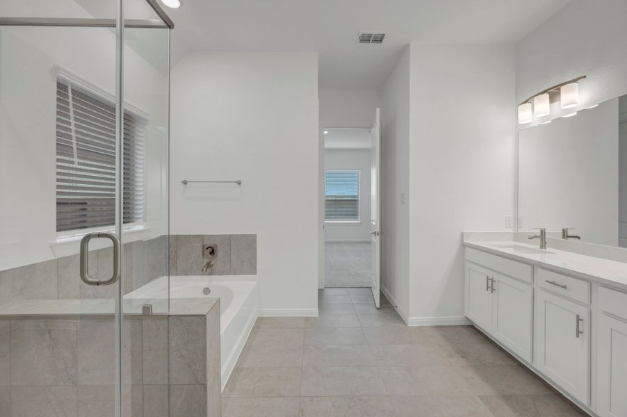 Owner's Bath