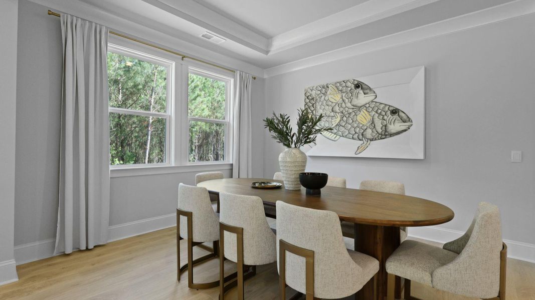 Furnished interior view inside a new home in Berkeley Bay, Ridgeville (Image 13).