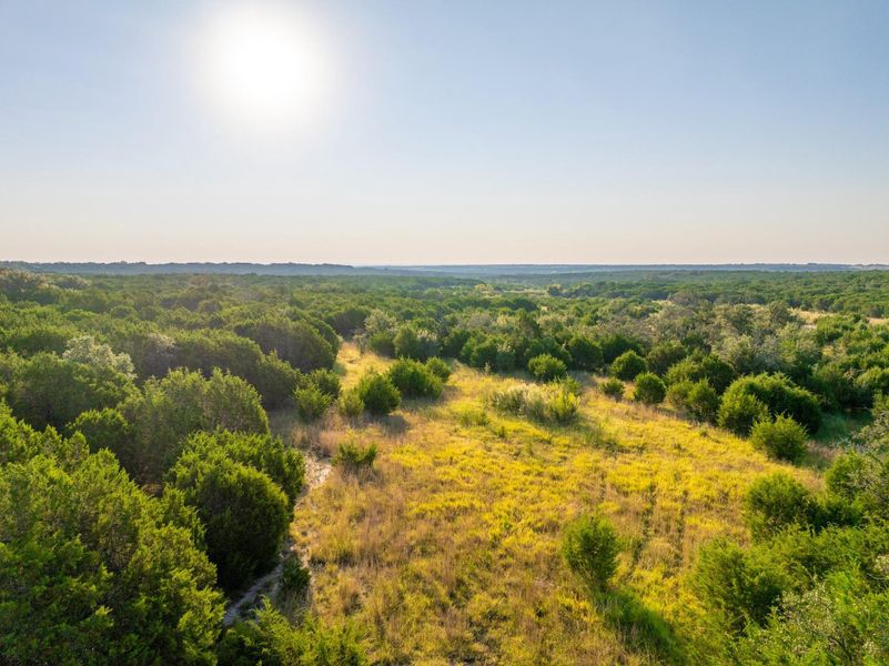 Aerial view at dusk of a view of trees
