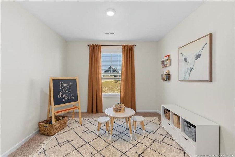 Flex Room downstairs-VIRTUAL STAGING