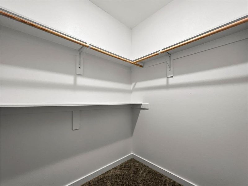 Walk in closet featuring dark carpet