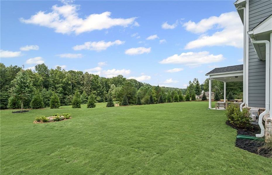 Exterior details and patio area of a home in Traditions of Braselton, Jefferson (Image 4).