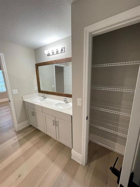 Furnished interior view inside a new home in Pasadena Point, Wesley Chapel (Image 8). Furnished interior view inside a new home in Pasadena Point, Wesley Chapel (Image 8).