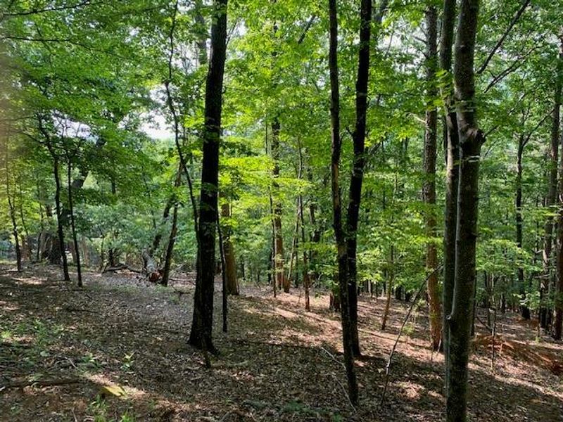 Natural landscape and outdoor views near  in Jasper (Image 4).